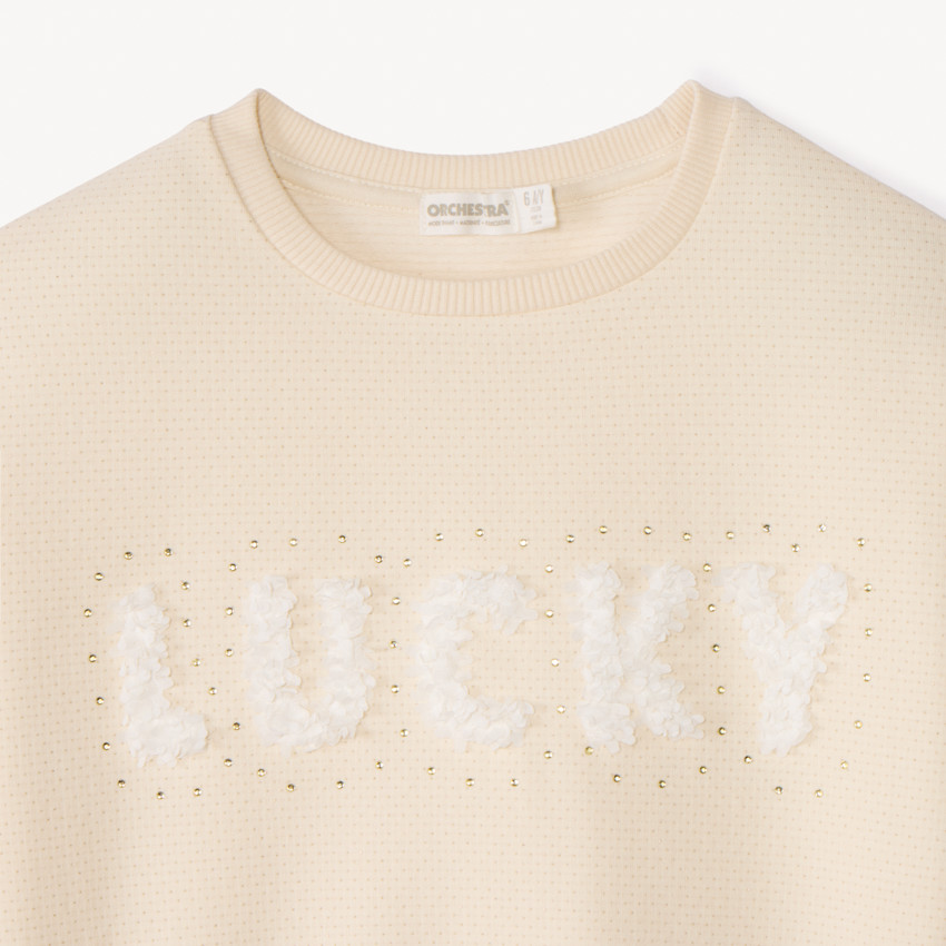 Sudadera de felpa oversize con diseño de pétalos 3D para niña 