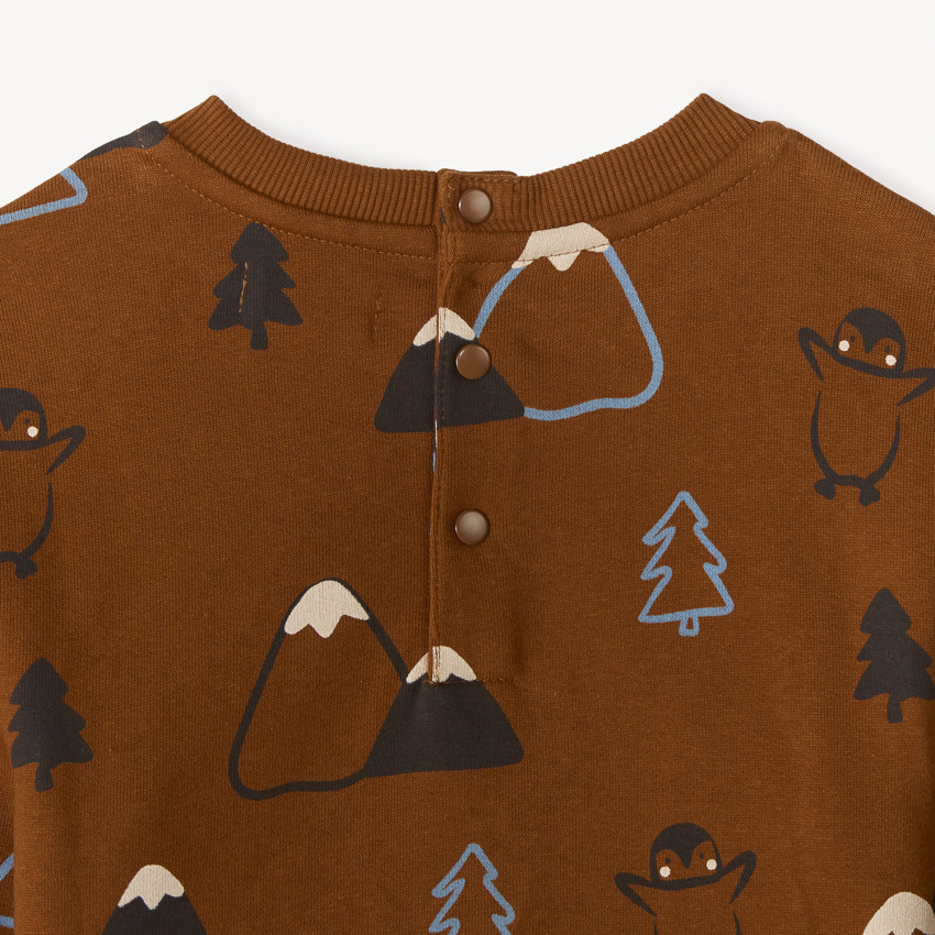 Conjunto de 2 sudaderas de chándal para bebé niño. 