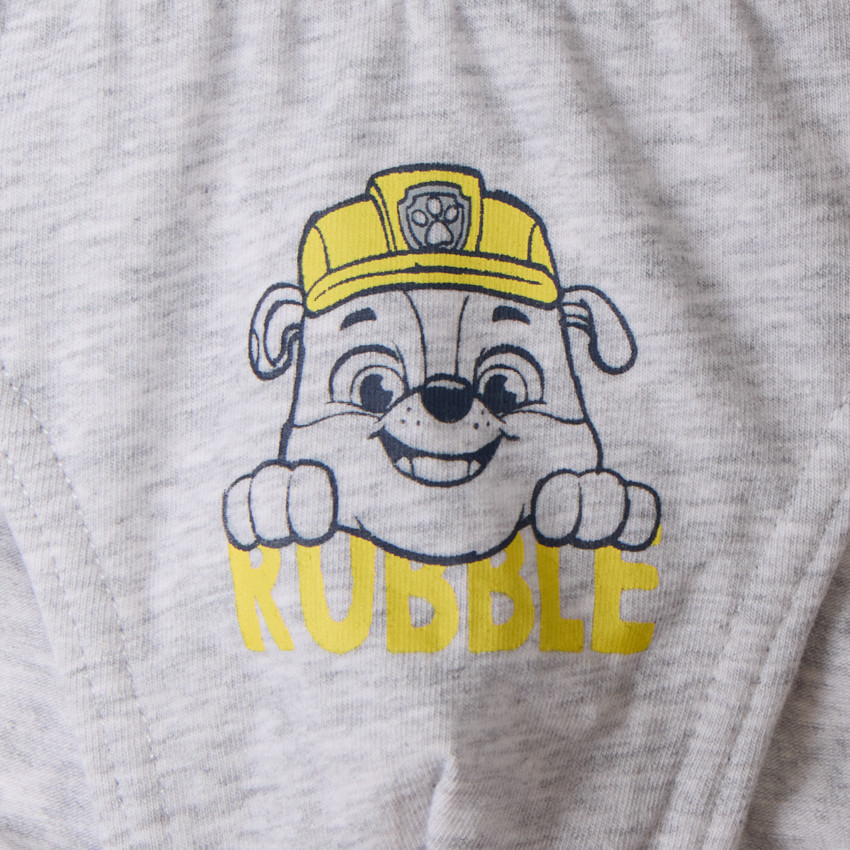 Lote de 3 slips estampados Pat