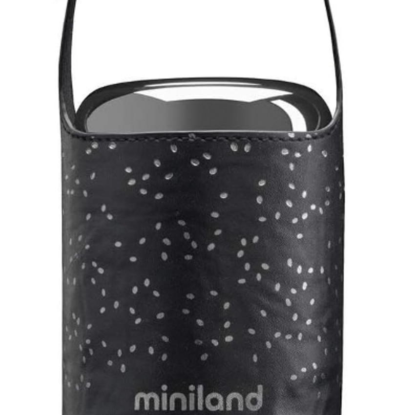 Food Thermy Mini Deluxe Silver. Termo de 280ml para alimentos fríos y calientes. 