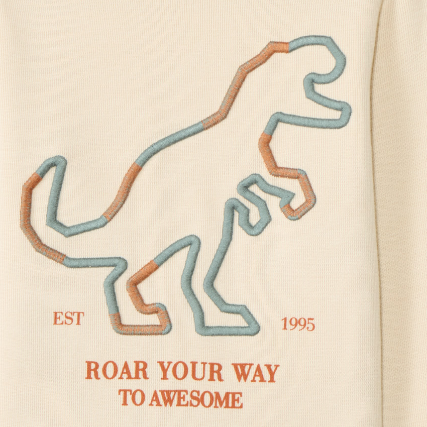 T-shirt manches longues broderie dinosaure pour garçon  