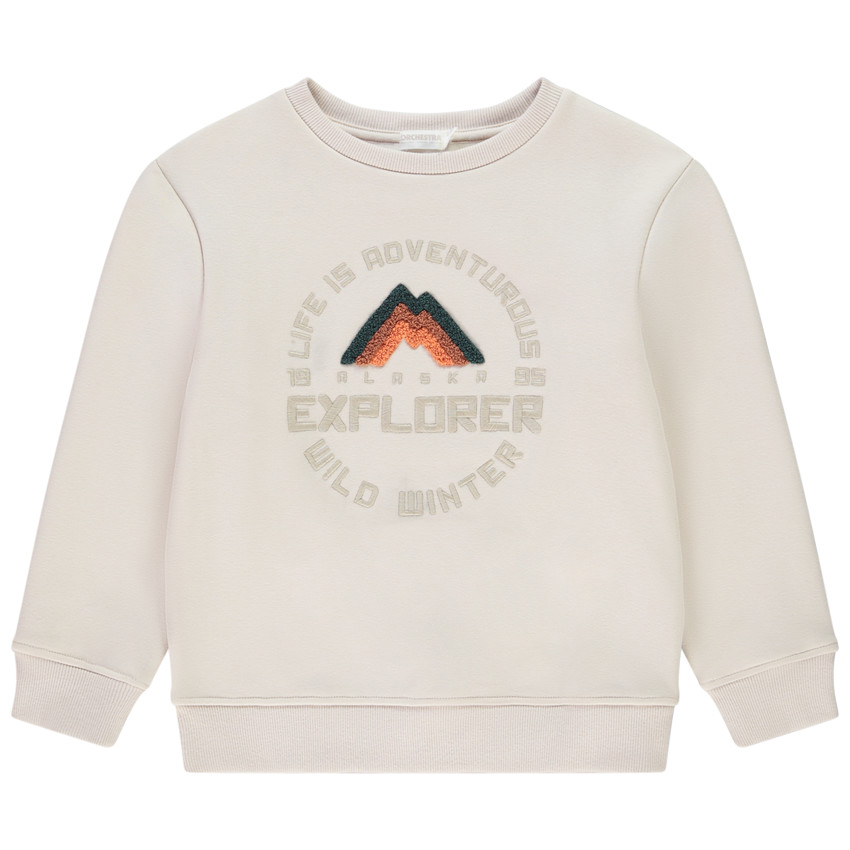 Sweat uni avec print fantaisie brodé pour garçon  