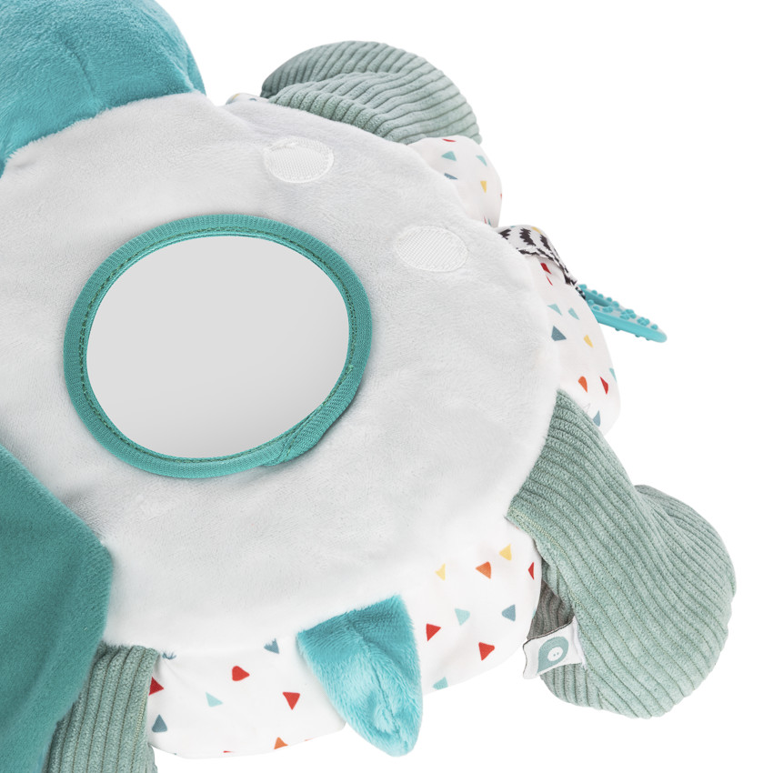 Peluche de actividades Sacha la tortuga 