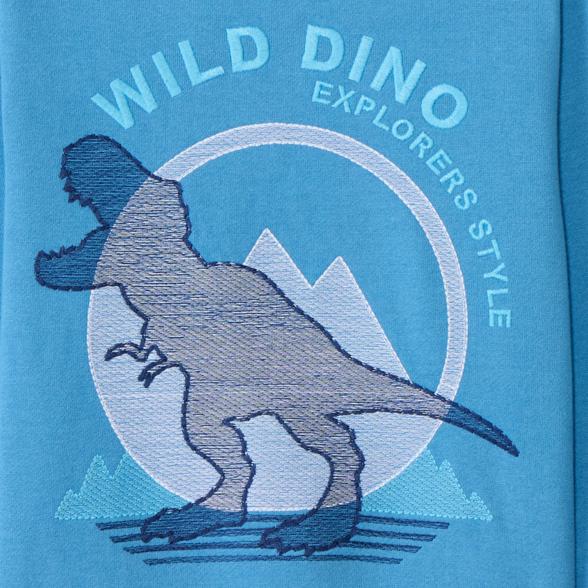 Sudadera de felpa bordada con motivo T-Rex para niño 