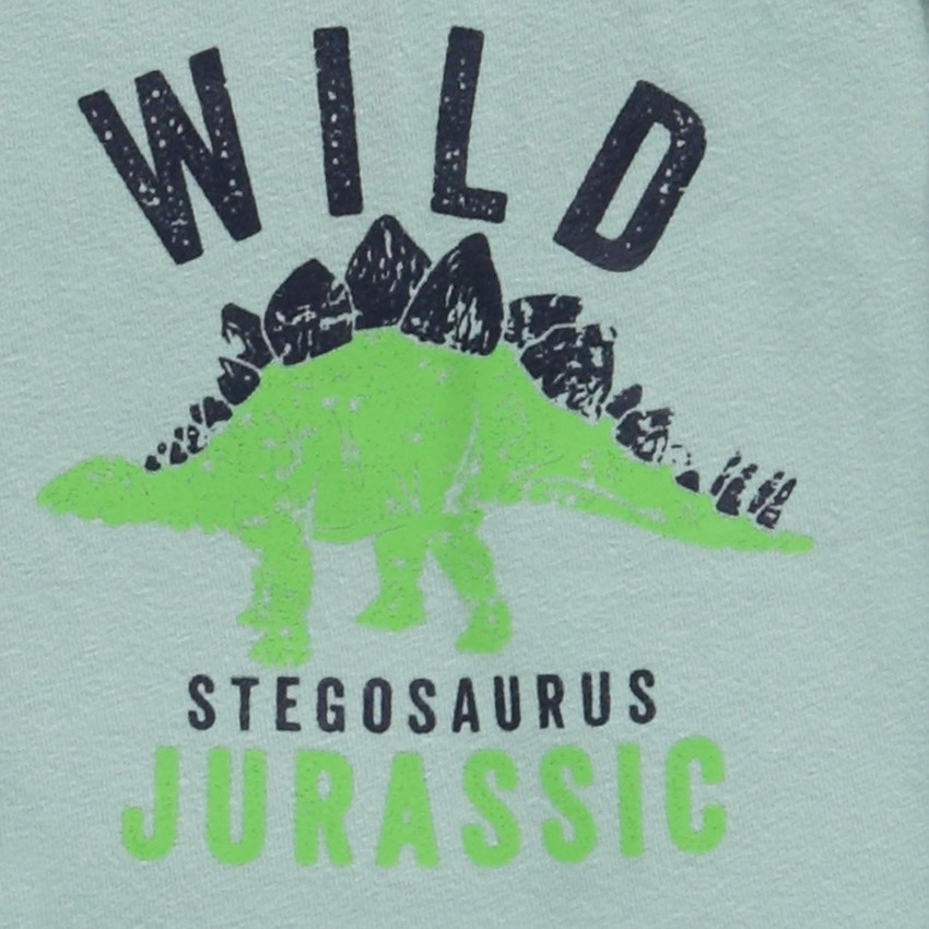 Pack de 5 bóxers con motivos Wild Dinos niño 
