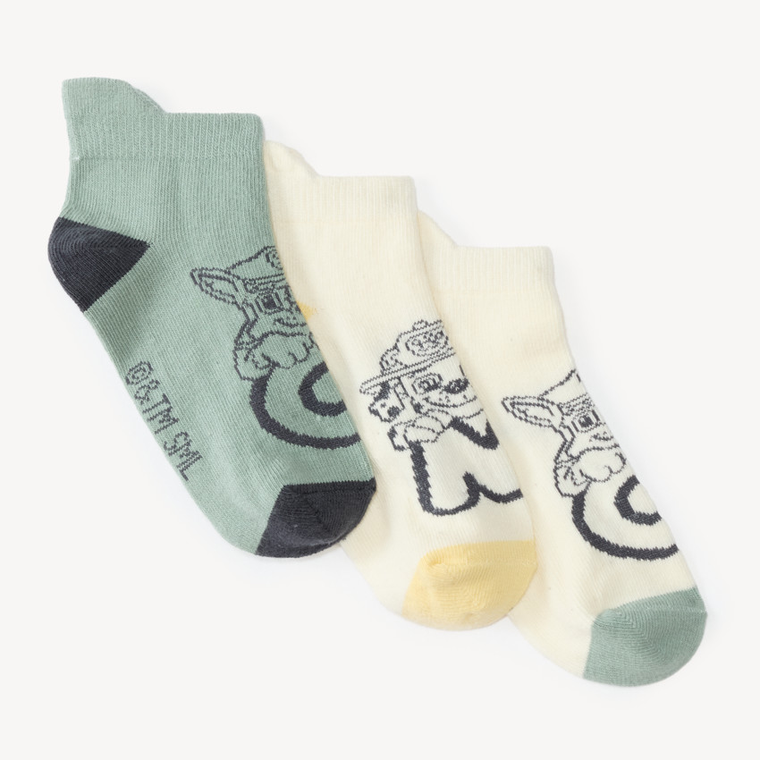 Lote de 3 calcetines cortos niño con diseño de Patrulla Canina. 