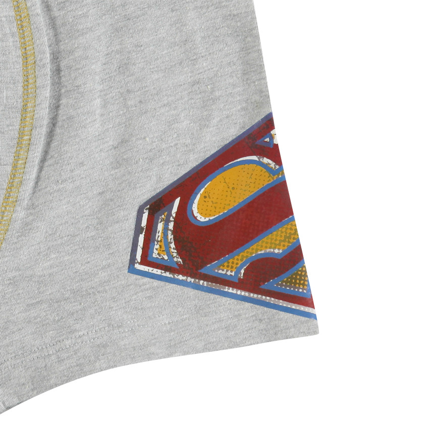 Lote de 2 boxers Spiderman Marvel 