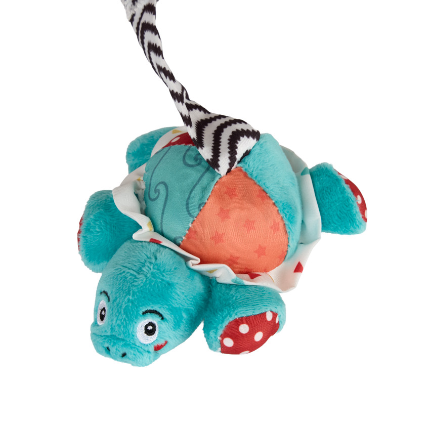 Espiral de actividades Sacha la tortuga 