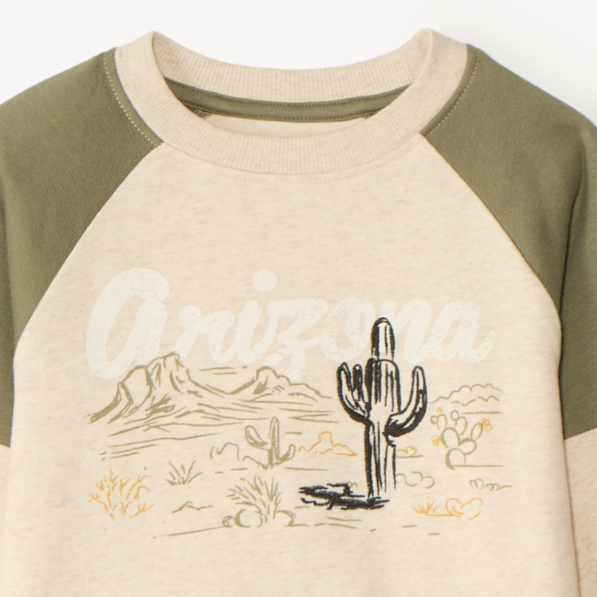 Conjunto de chándal de felpa con estampado de cactus para niño 