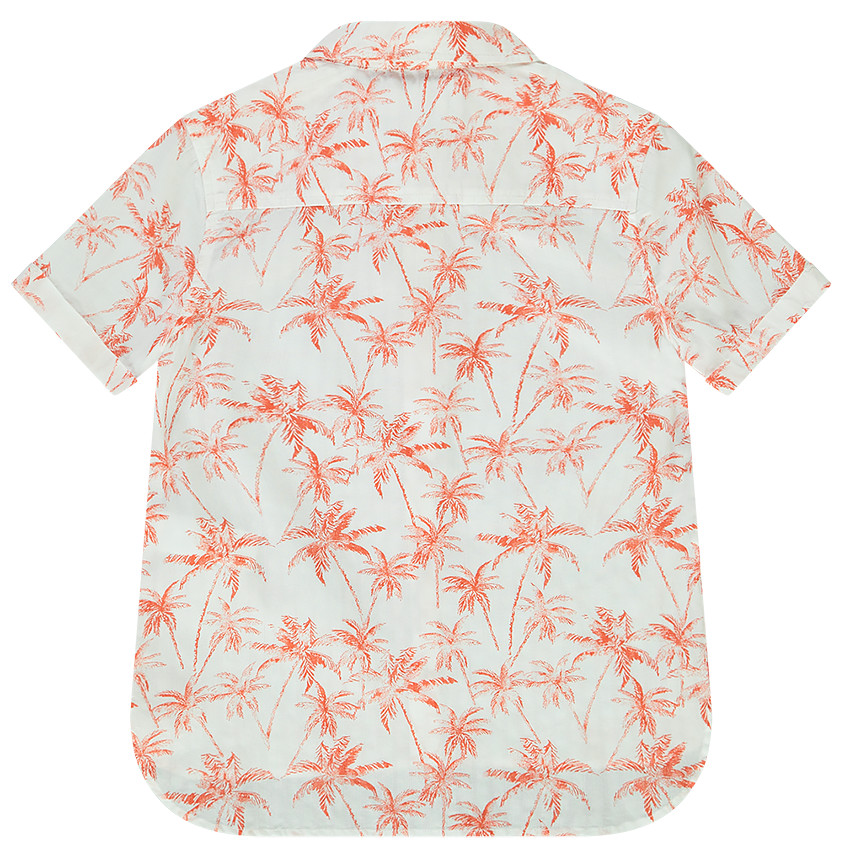 Camisa de manga corta de algodón con estampado de palmeras para niño 