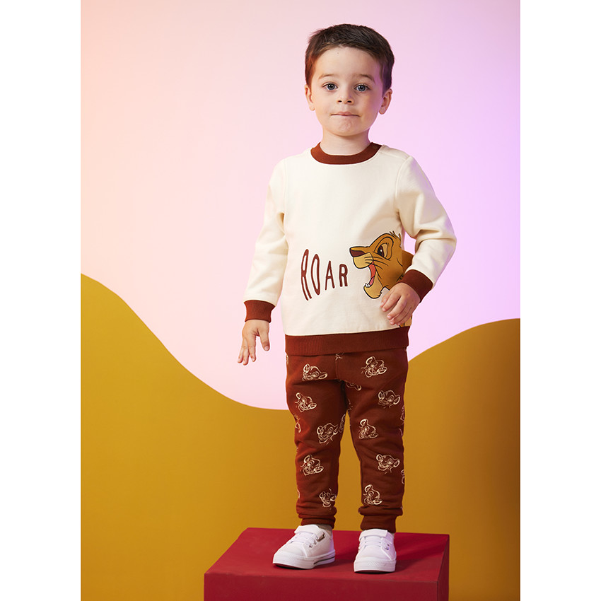 Ensemble le store roi lion bebe