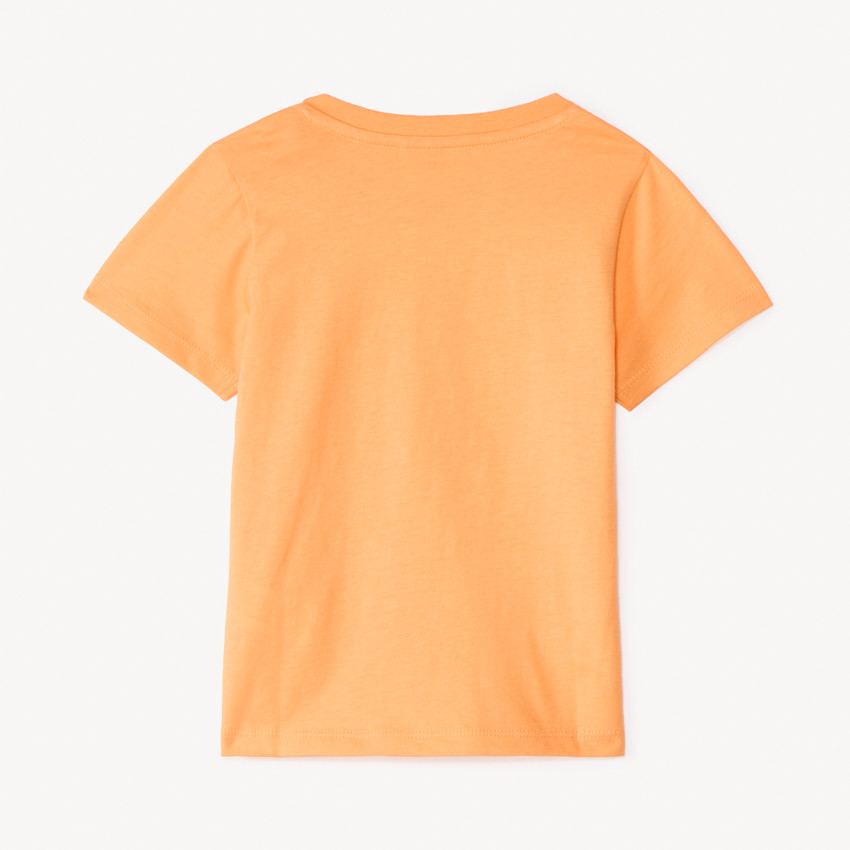 Camiseta de manga larga con estampado de león para bebé niño 