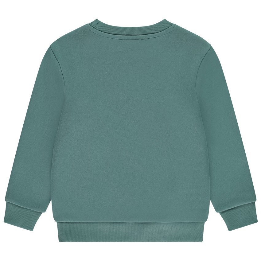 Sudadera de felpa cepillada lisa para niño 