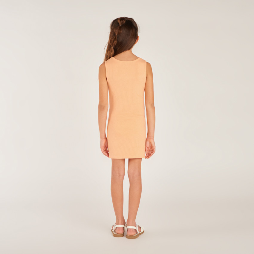 Vestido sin mangas de malla con bordado de flores para niña 
