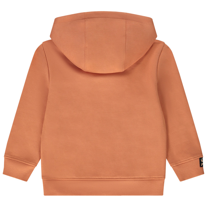 Sudadera con capucha y cremallera para niño 