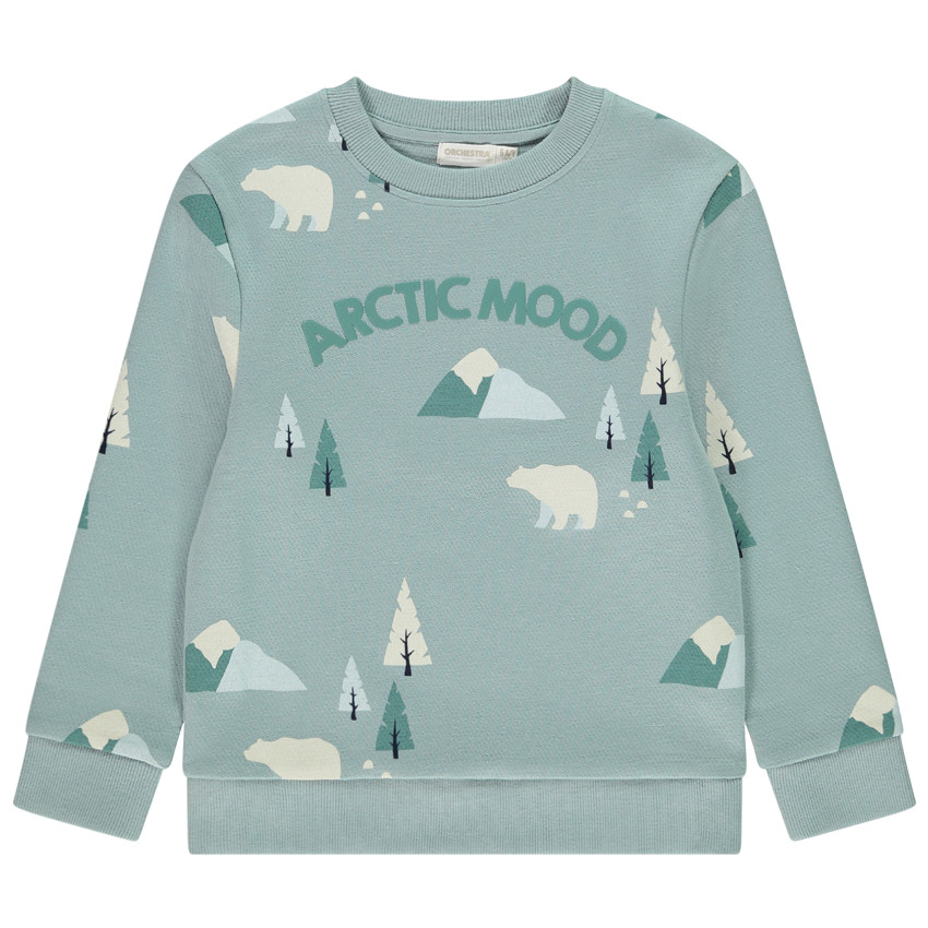 Sudadera de felpa con estampado niño 
