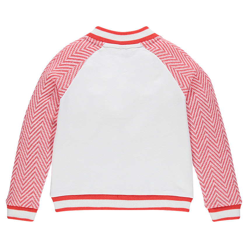 Teddy bi-matière brodé 