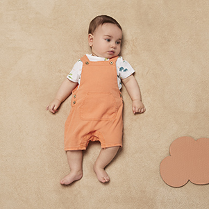 My mini zebra 1-12 meses